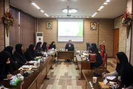 جلسه توجیهی &quot;طرح توانمندسازی اقتصادی زنان سرپرست خانوار&quot; در خوزستان