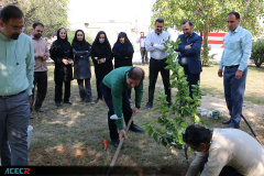کاشت ۳۰ اصله نهال مثمر در موسسه آموزش عالی جهاددانشگاهی خوزستان