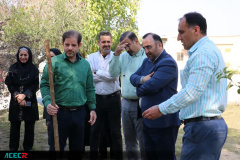 کاشت ۳۰ اصله نهال مثمر در موسسه آموزش عالی جهاددانشگاهی خوزستان