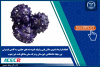 انعقاد قرارداد تدوین دانش فنی و تولید انبوه مته های حفاری سه کاجی اینسرتی